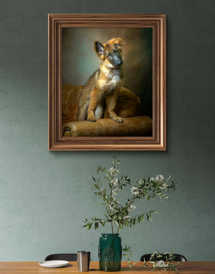 Pet Portraiture